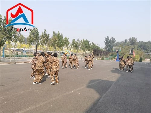 Fine Sand Refractory Mortar Fine Sand Refractory Mortar